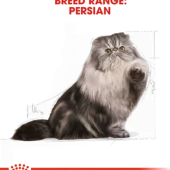 Katterase Perser 2 kg