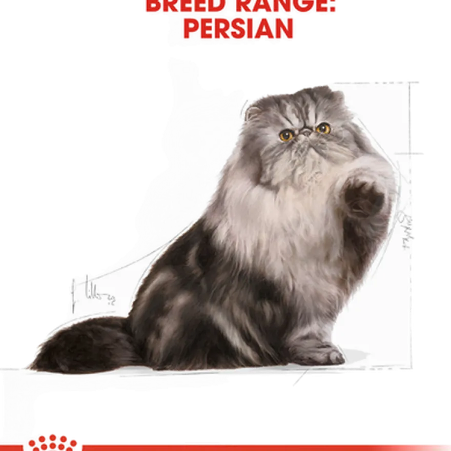 Katterase Perser 2 kg