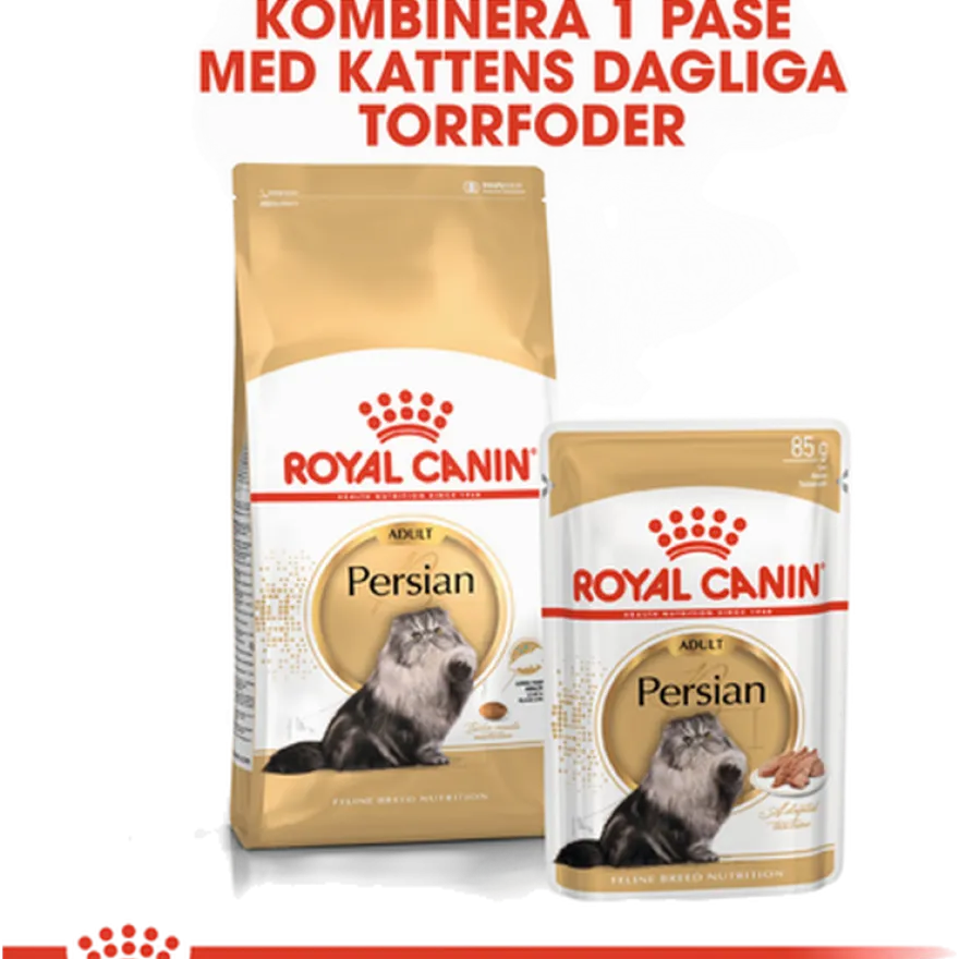 Katterase Perser 2 kg