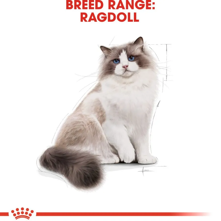 Katterase Ragdoll 10 kg