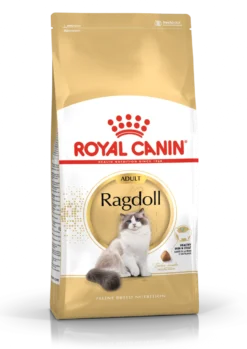 Katterase Ragdoll 10 kg