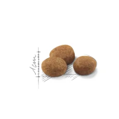 Katt Sterilisert 7+ 3,5 kg