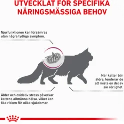 Katt Tidlig nyre 3,5 kg