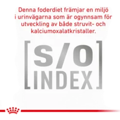 Katt Tidlig nyre 3,5 kg