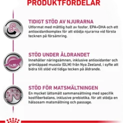 Katt Tidlig nyre 3,5 kg