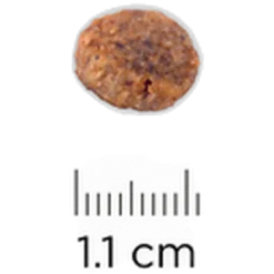 k/d + j/d Kidney + Mobility - Dry Dog Food 4 kg