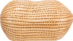 Keramisk House Peanut - for hamstere/mus, 17 × 8 × 8 cm