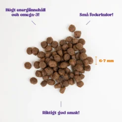 Kitten All Breed kylling 2 kg