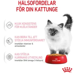 Kitten Jelly Våtfôr for kattunger 85 g x 12 stk