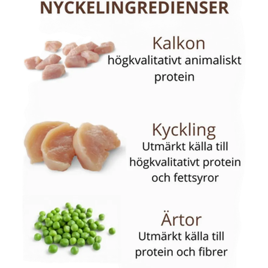 Kitten Original kylling og kalkun 1,75 kg
