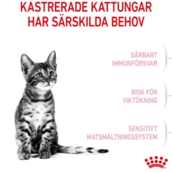 Kitten Sterilised Tørrfôr for kattunger 400 g