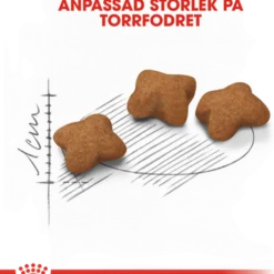 Kitten Sterilised Tørrfôr for kattunger 400 g