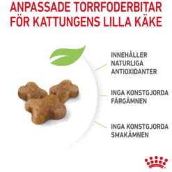 Kitten Tørrfôr for kattunger 2 kg