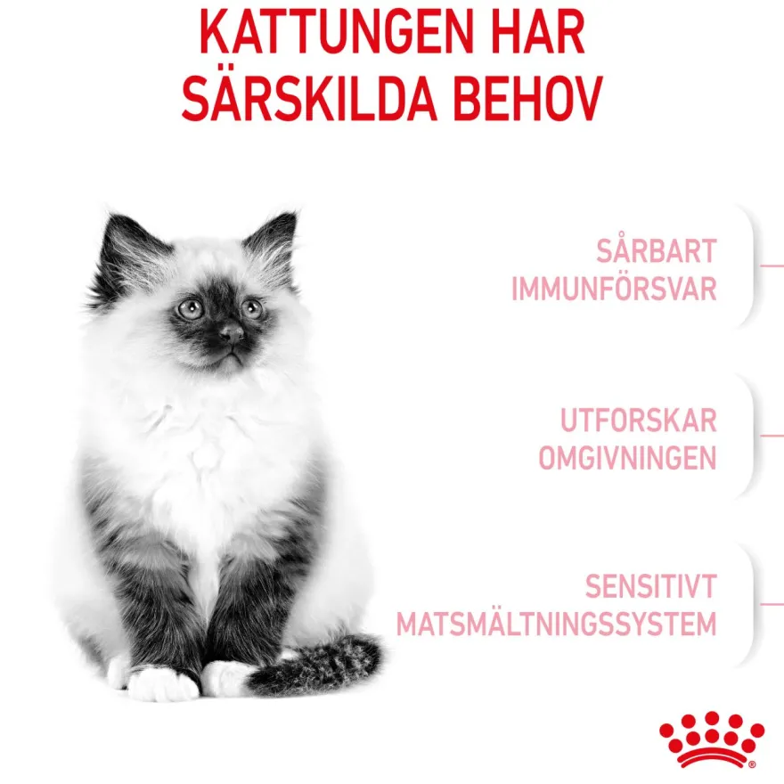 Kitten Tørrfôr for kattunger 2 kg