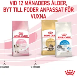 Kitten Tørrfôr for kattunger 2 kg