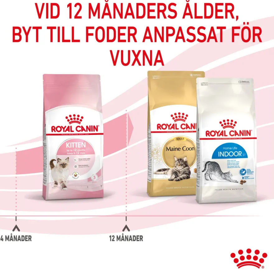 Kitten Tørrfôr for kattunger 2 kg