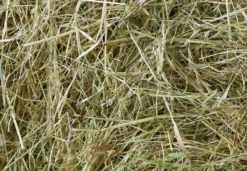 Økologisk høy Large 110 liter