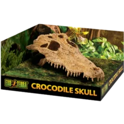 Krokodillehodeskalle - Sikkert gjemmested Beige 22 cm