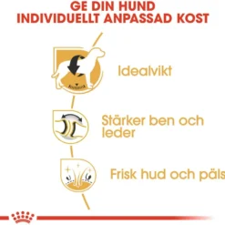 Labrador Retriever Adult tørrfôr for hunder 12 kg