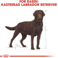 Labrador Retriever Sterilisert tørrfôr for voksne hunder 12 kg