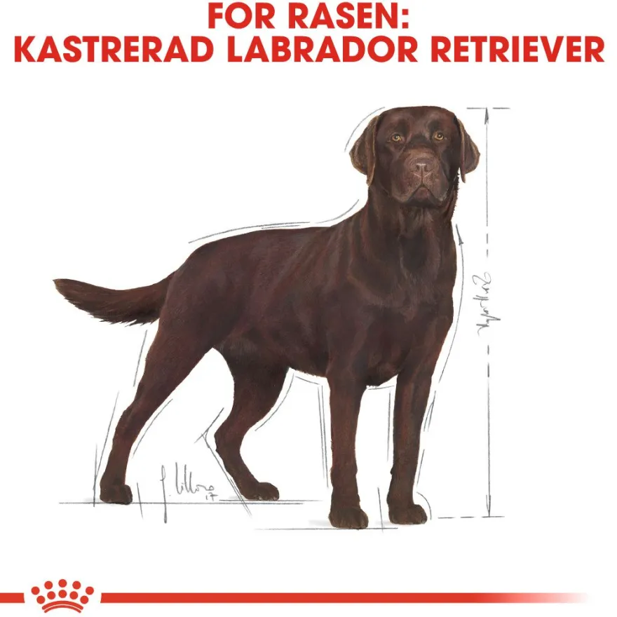 Labrador Retriever Sterilisert tørrfôr for voksne hunder 12 kg