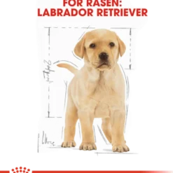Labrador retriever valp tørrfôr for valp 12 kg