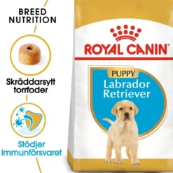 Labrador retriever valp tørrfôr for valp 12 kg