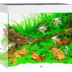Lido LED-akvarium hvit 120 L