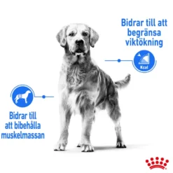Light weight Care Adult Medium tørrfôr for hunder 3 kg