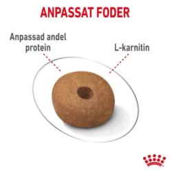 Light weight Care Adult Medium tørrfôr for hunder 12 kg