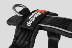 Line Harness 5.0 Purple No 4