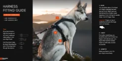 Linjesele 5.0 blågrønn nr. 3