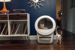 Litter-Robot 4 Selvrensende kattebakke, hvit