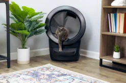 Litter-Robot 4 Selvrensende søppelkasse, svart