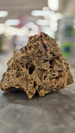 Maple Stone 20~30Cm