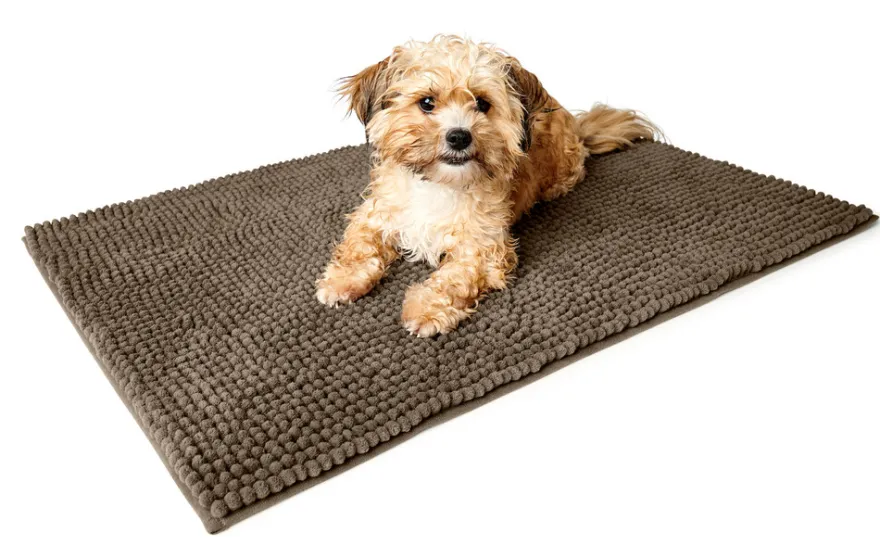 Mat Mud Flap Waterloo Polyester Light Brown 90x60 cm