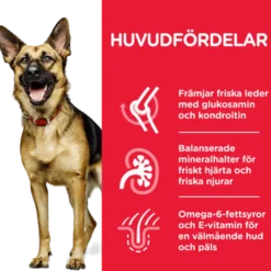 Mature 5+ Active Lonegvity Large Breed Chicken - Dry Dog Food 12 kg