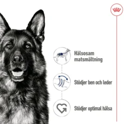 Maxi Adult Loaf Våtfôr for hunder 410 g