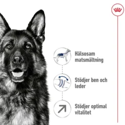 Maxi Adult 5+ tørrfôr for hunder 15 kg
