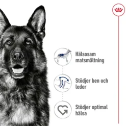 Maxi Adult tørrfôr for hunder 10 kg