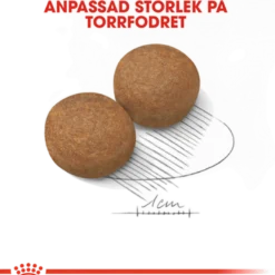 Maxi Adult tørrfôr for hunder 10 kg