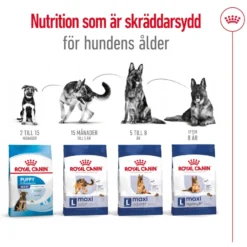 Maxi Adult tørrfôr for hunder 10 kg