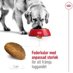 Maxi Adult tørrfôr for hunder 10 kg