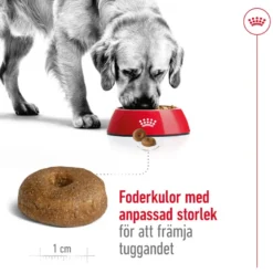 Maxi Ageing 8+ Ageing tørrfôr for hunder 15 kg