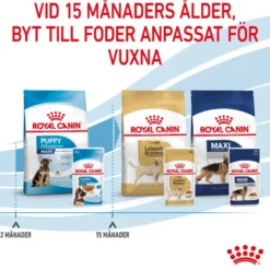 Maxi Puppy Gravy 10 x 140 g