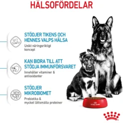 Maxi Starter tørrfôr for hunder 15 kg