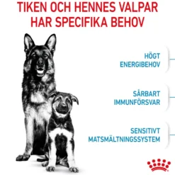 Maxi Starter tørrfôr for hunder 15 kg