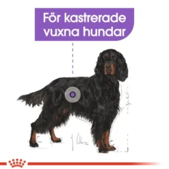 Maxi Sterilised Adult tørrfôr for hunder 12 kg