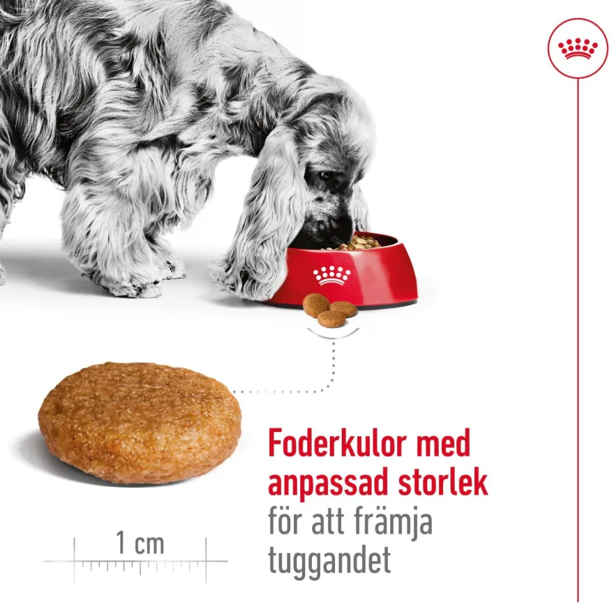 Medium Adult tørrfôr for hunder 4 kg