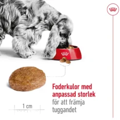 Medium Adult 7+ Tørrfôr for hunder 4 kg